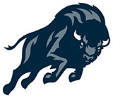 Bison Logo